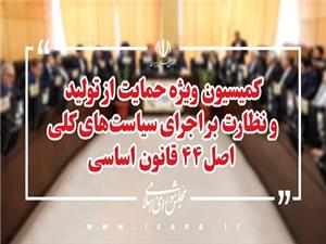 حرکت پرشتاب کميسيون ويژه حمايت از توليد در مسير تحقق شعار سال و اجراي سياست‌هاي اصل 44