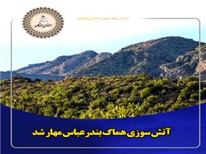 آتش سوزي هماگ بندرعباس مهار شد