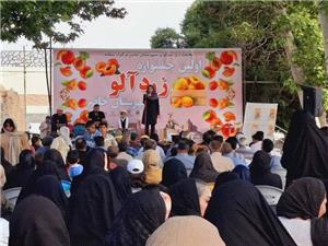 نخستين جشنواره زردآلو در احمدآباد خاتم برگزار شد