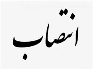 معاون مشارکت‌هاي اجتماعي دفتر امور اجتماعي استانداري خراسان جنوبي منصوب شد