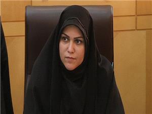 ملاک مجلس برنامه های شفاف و کاربردی درجهت تحقق برنامه هفتم توسعه است