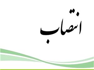 انتصاب معاون برنامه ريزي و هماهنگي امور عمراني فرمانداري قاينات