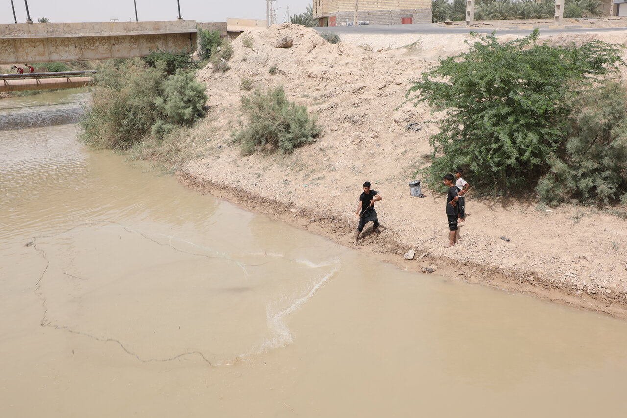 خبرگزاری آریا