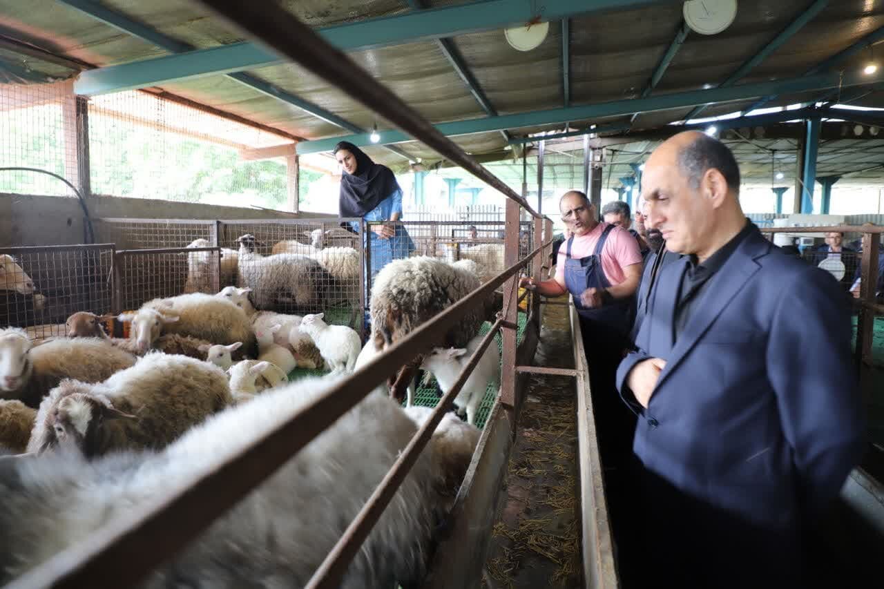 خبرگزاری آریا