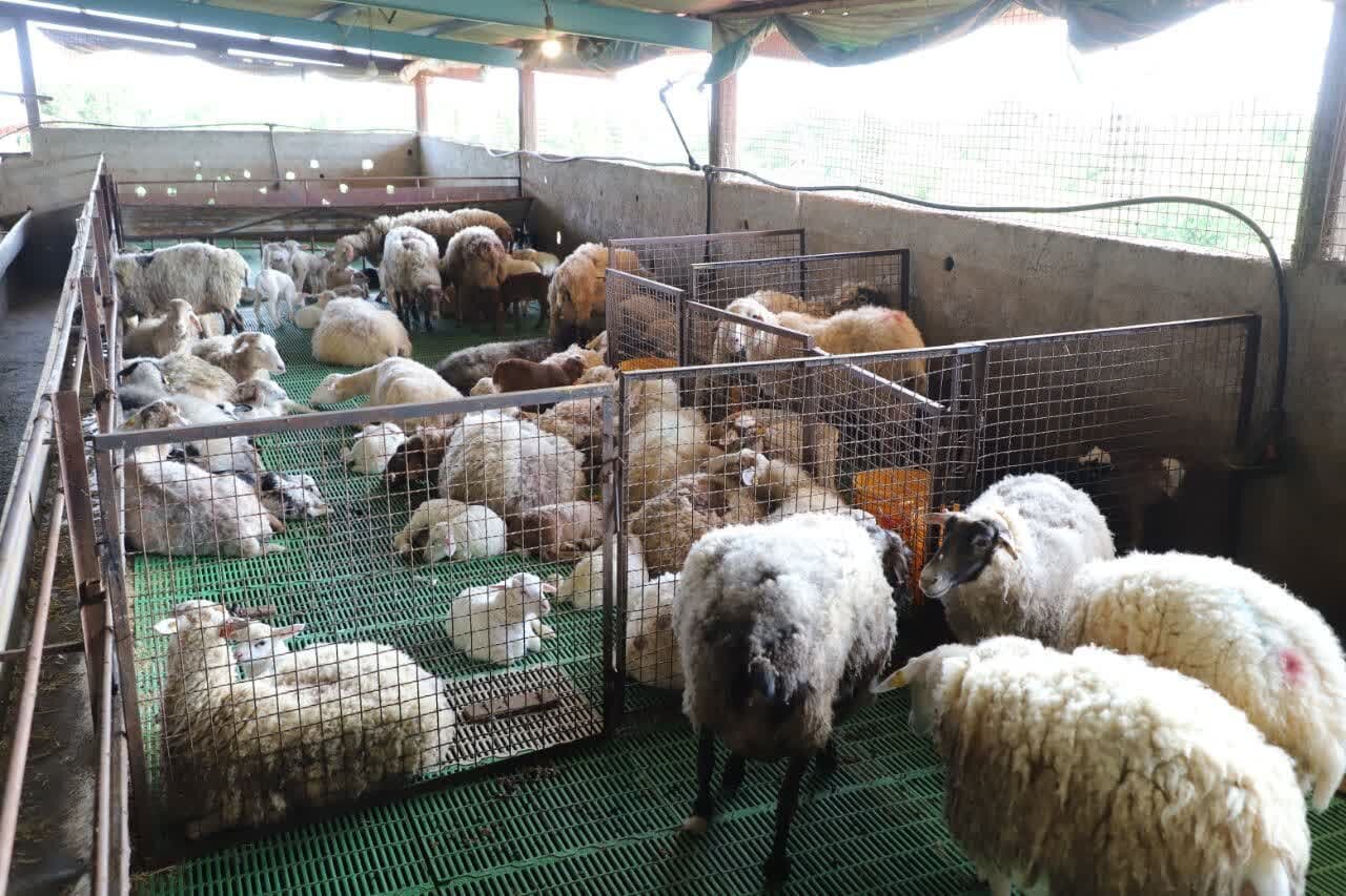 خبرگزاری آریا