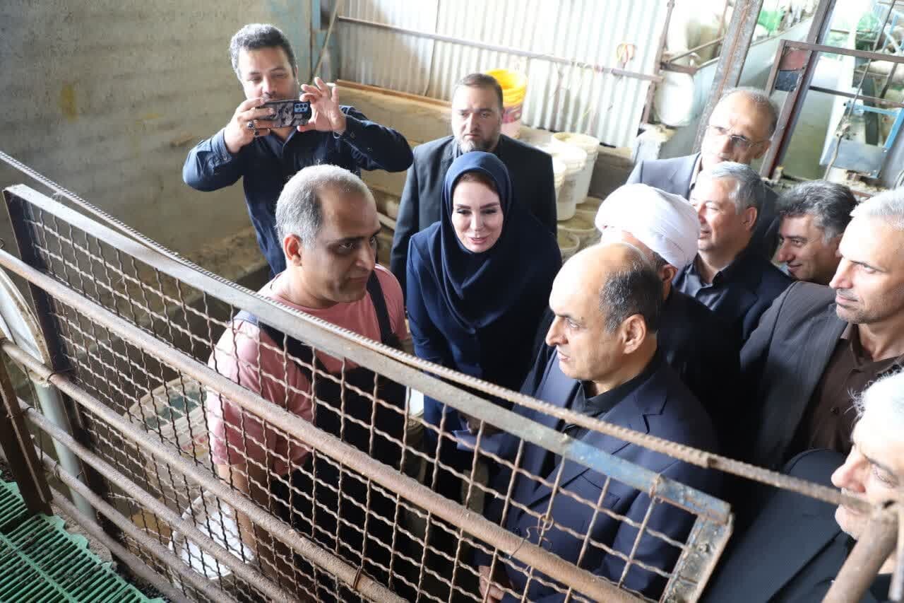 خبرگزاری آریا