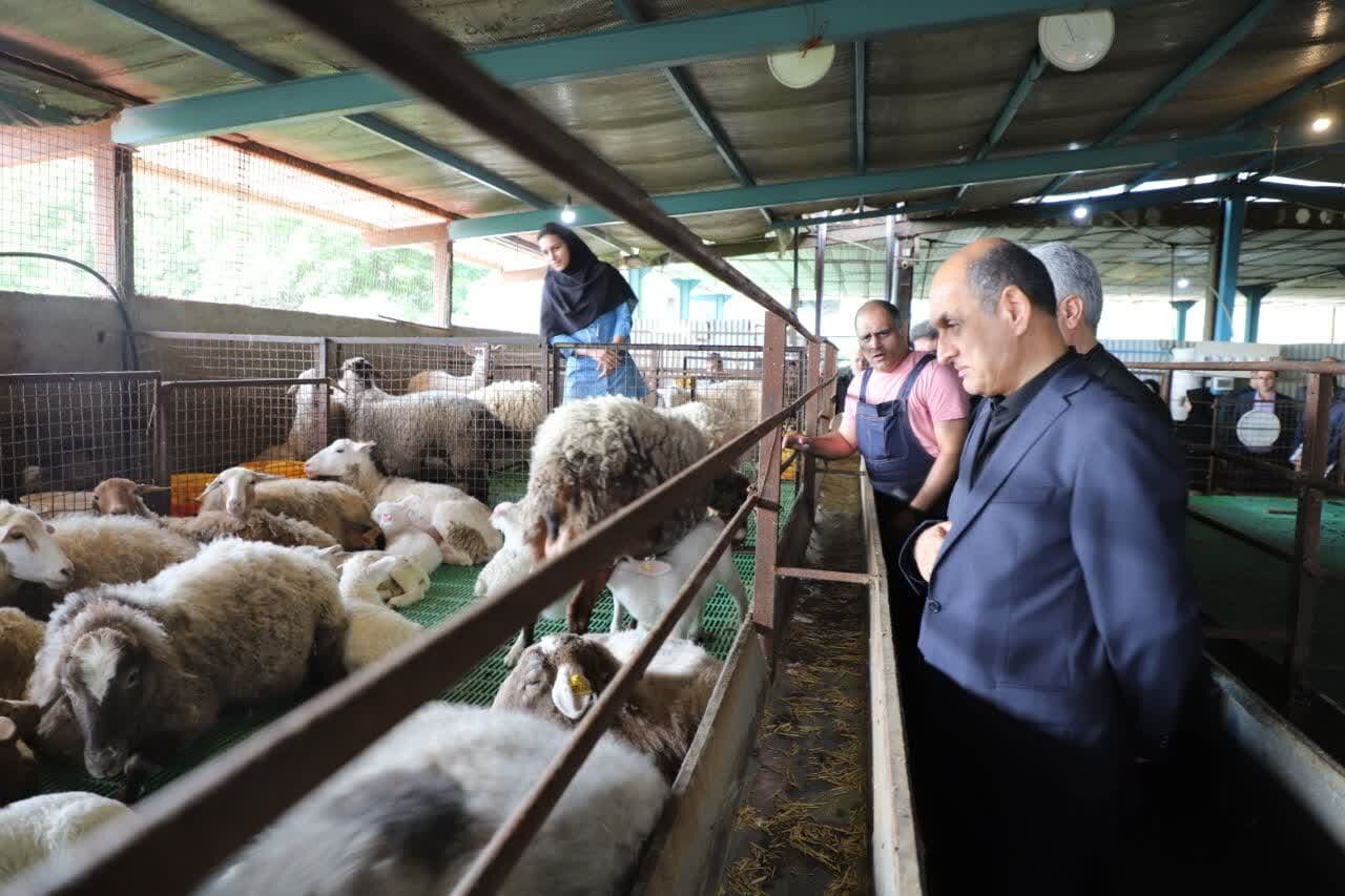 خبرگزاری آریا
