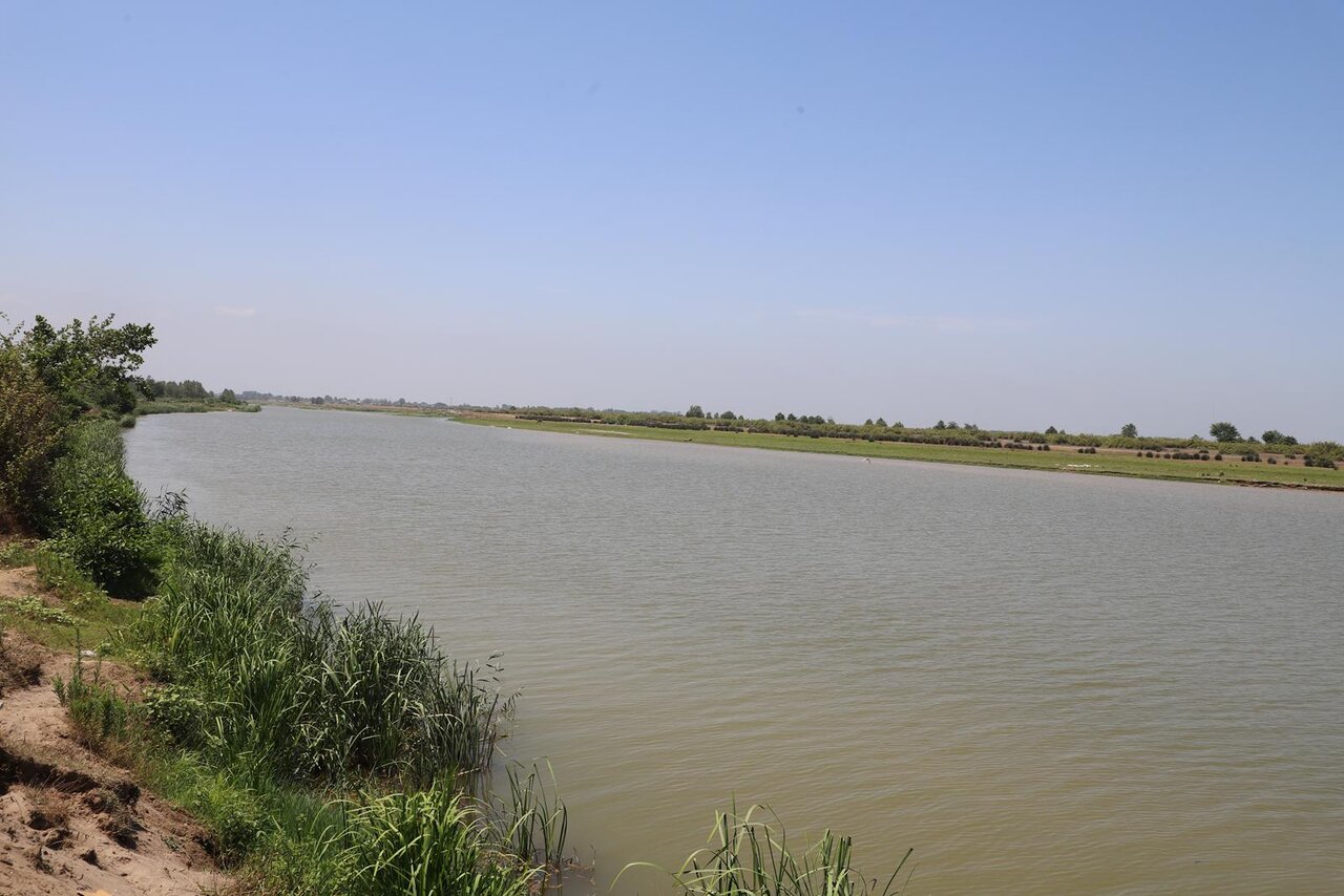 خبرگزاری آریا