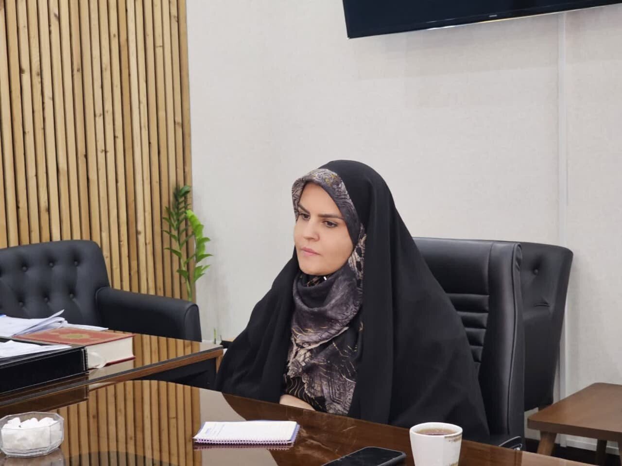 خبرگزاری آریا