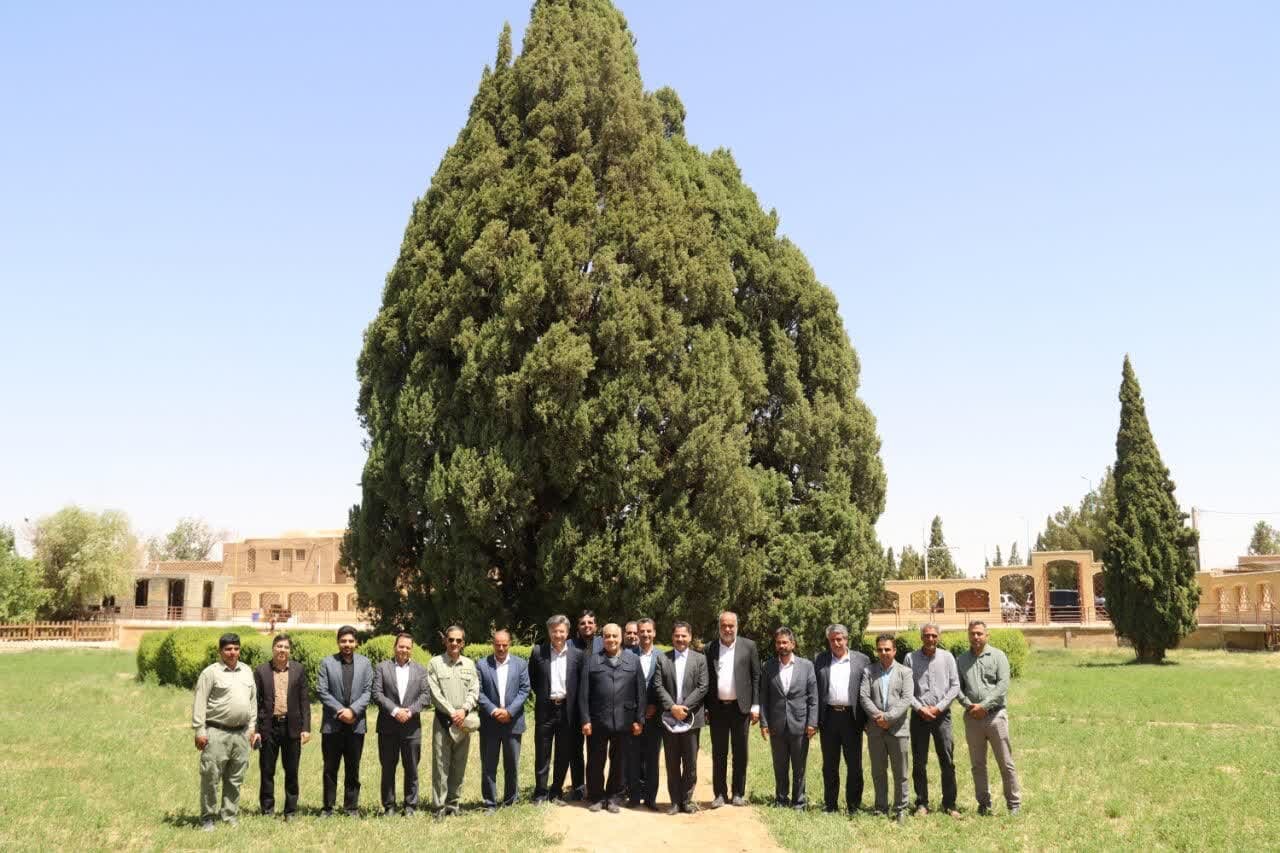 خبرگزاری آریا