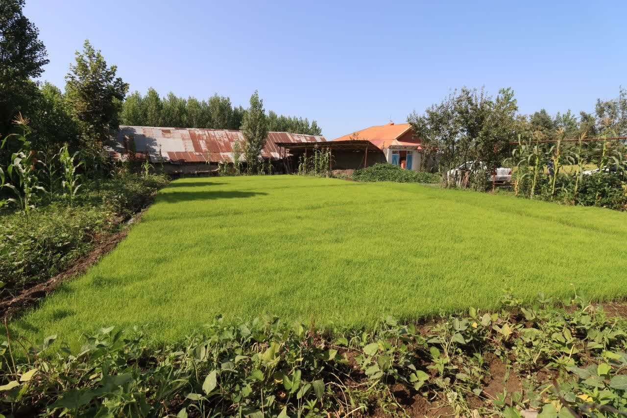خبرگزاری آریا
